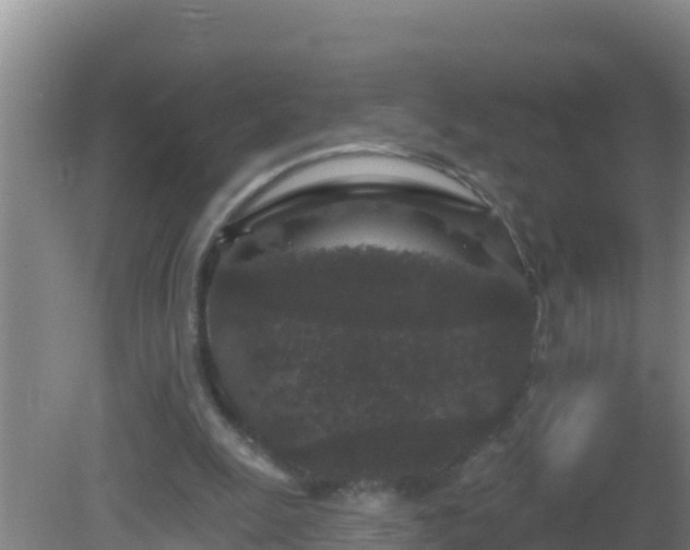 X0000081620247200701221235