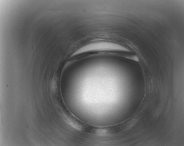 X0000081620265200701221236