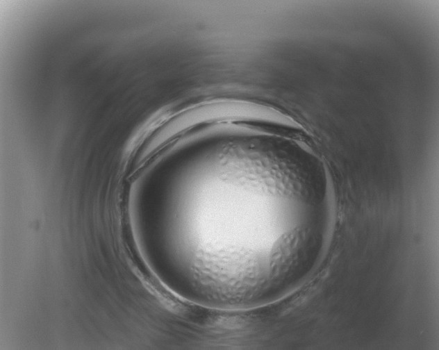 X0000081620341200701221234