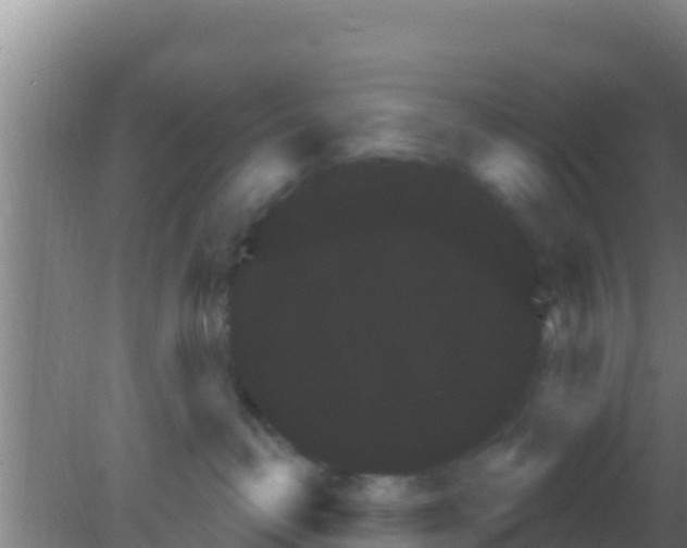 X0000081620382200701221234