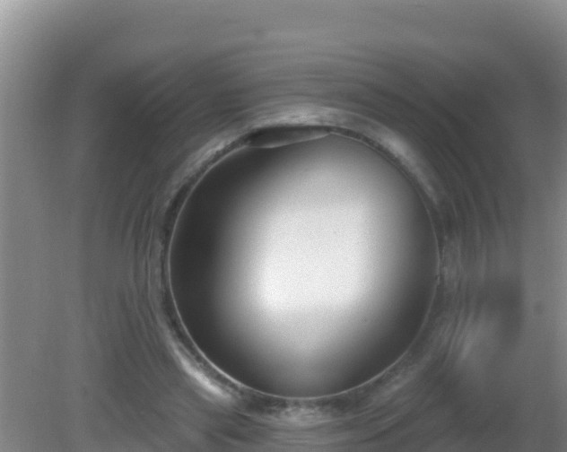 X0000081620445200701221232