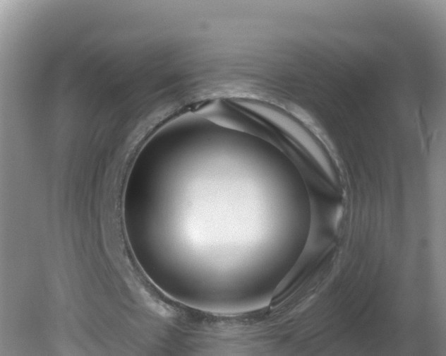 X0000081620481200701221232
