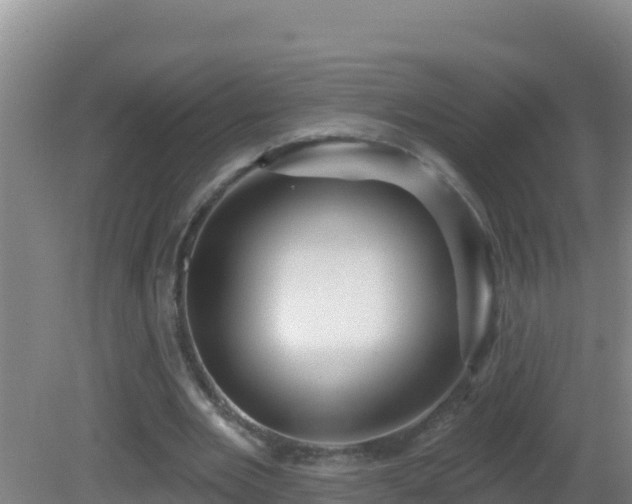 X0000081620485200701221232
