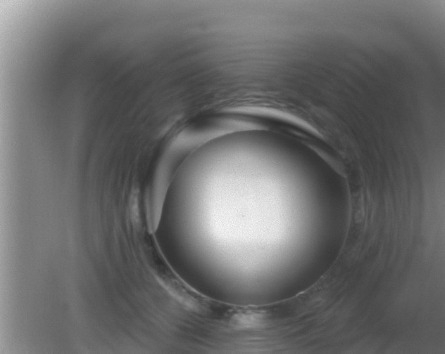 X0000081620560200701221231