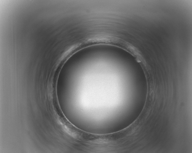 X0000081620578200701221230