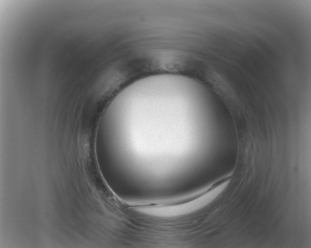 X0000081620595200701221230