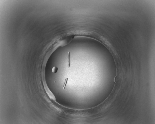 X0000081620625200701221229
