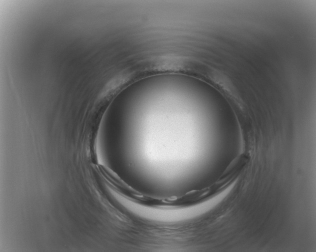 X0000081620681200701221228