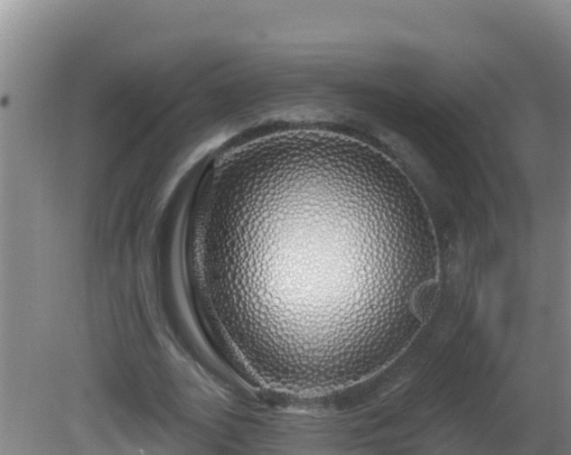 X0000081620727200701221227