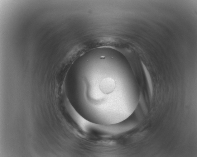 X0000081620750200701221228