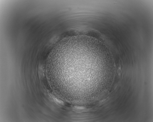 X0000081620772200701221227