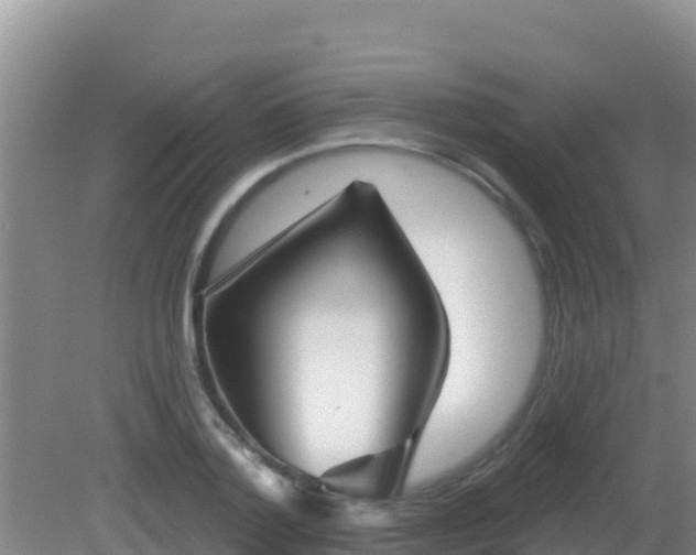 X0000081620788200701221227