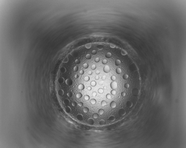 X0000081620821200701221225