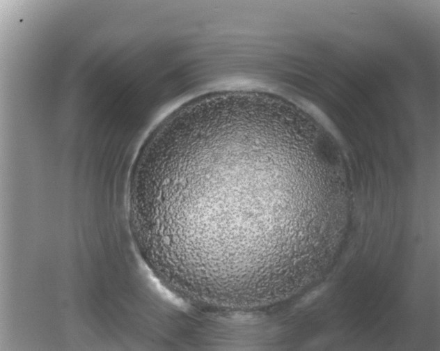 X0000081620839200701221226