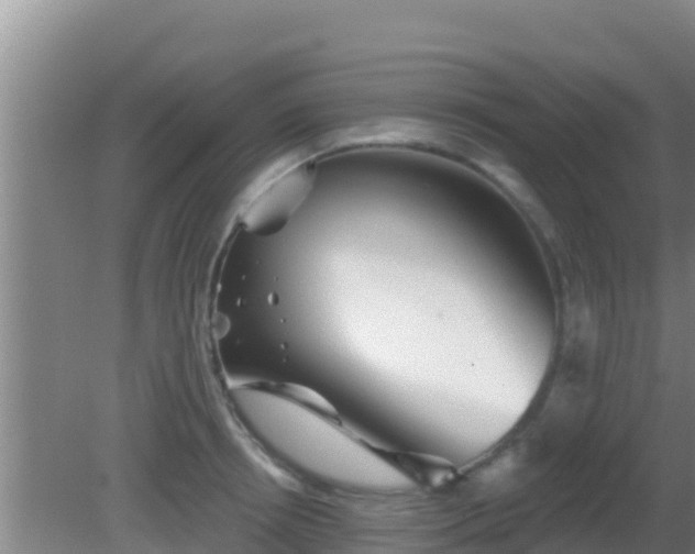 X0000081620850200701221226
