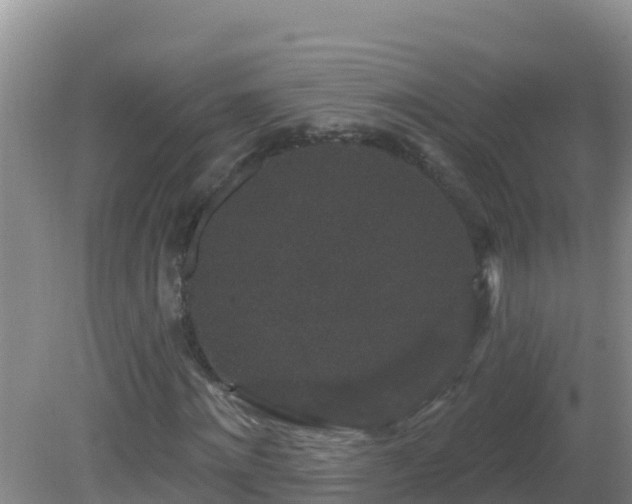 X0000081620868200701221225
