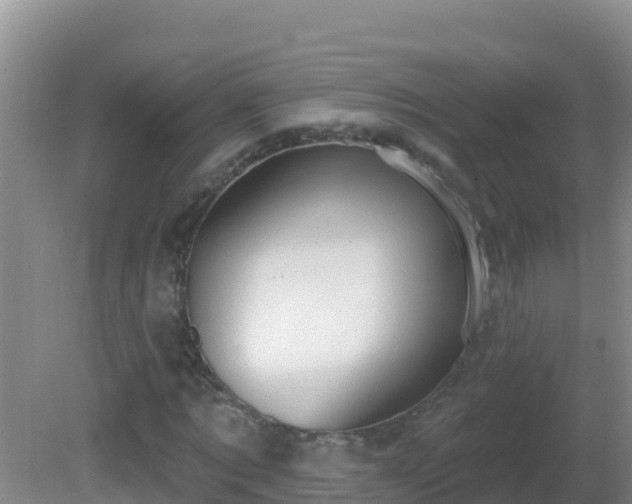 X0000081620869200701221225
