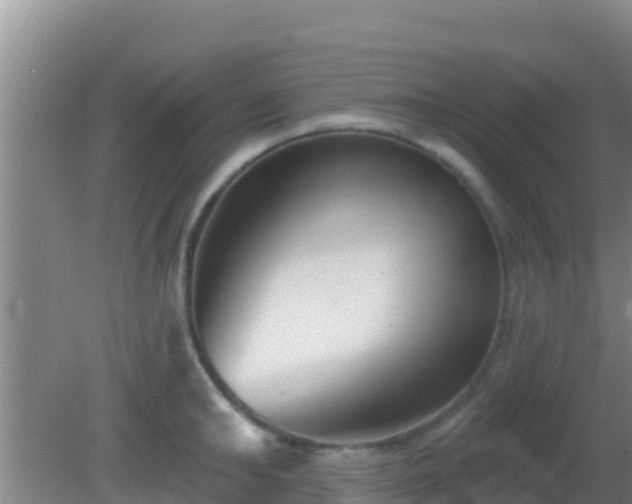 X0000081620902200701221225