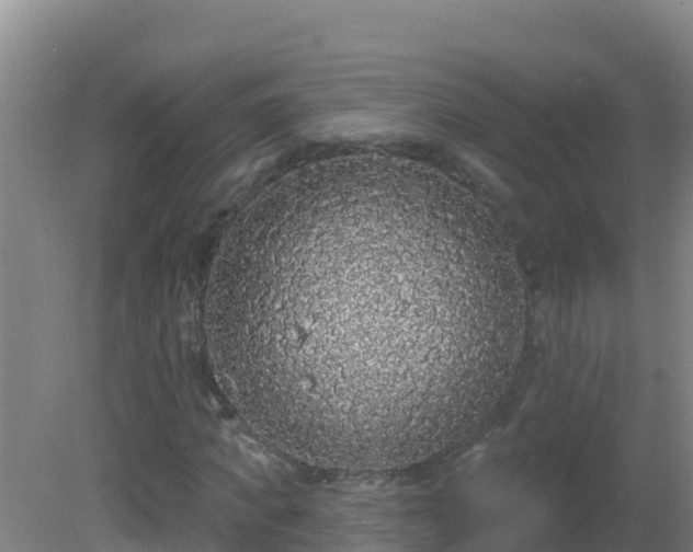 X0000081620917200701221224
