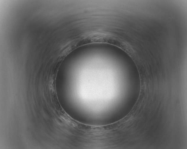 X0000081620964200701221224