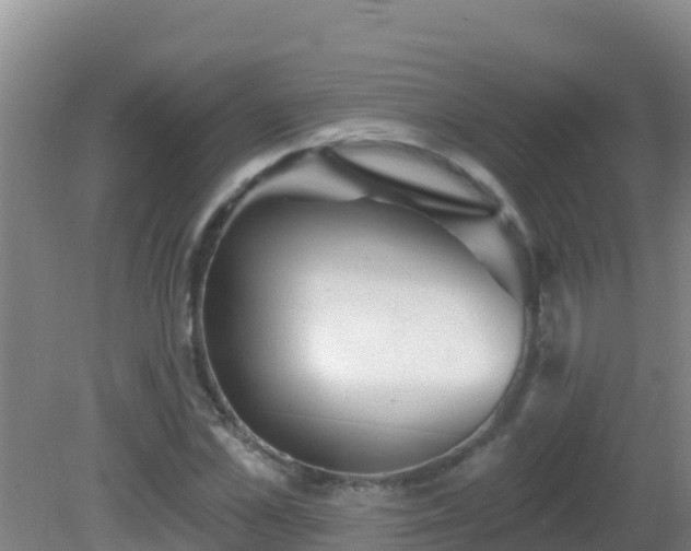 X0000081620973200701221224