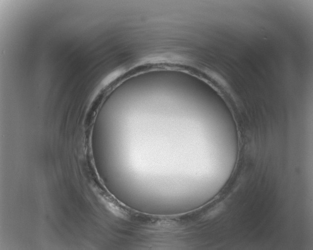 X0000081620974200701221224