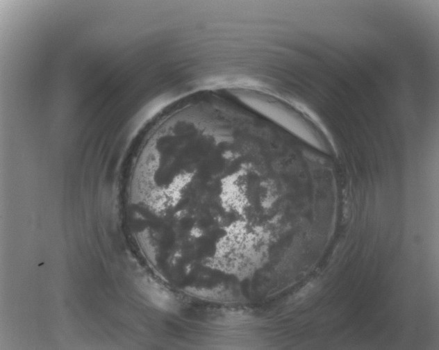X0000081620975200701221224