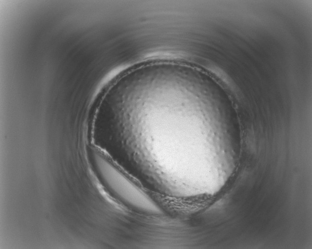 X0000081621030200701221223
