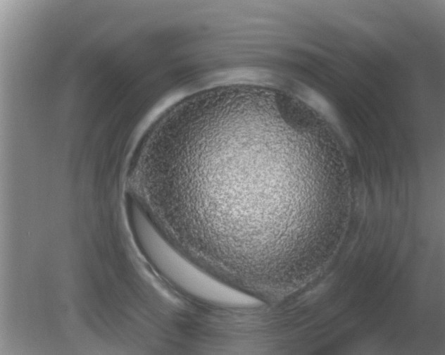 X0000081621043200701221223