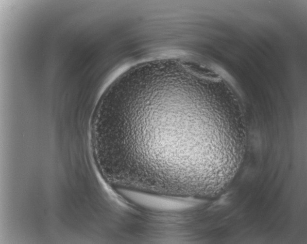 X0000081621047200701221223