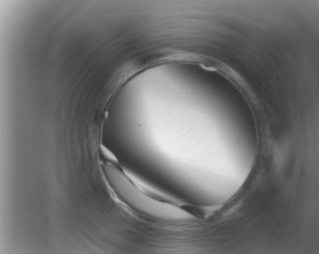 X0000081621049200701221223