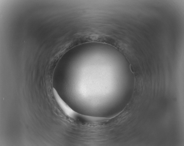 X0000081621105200701221221