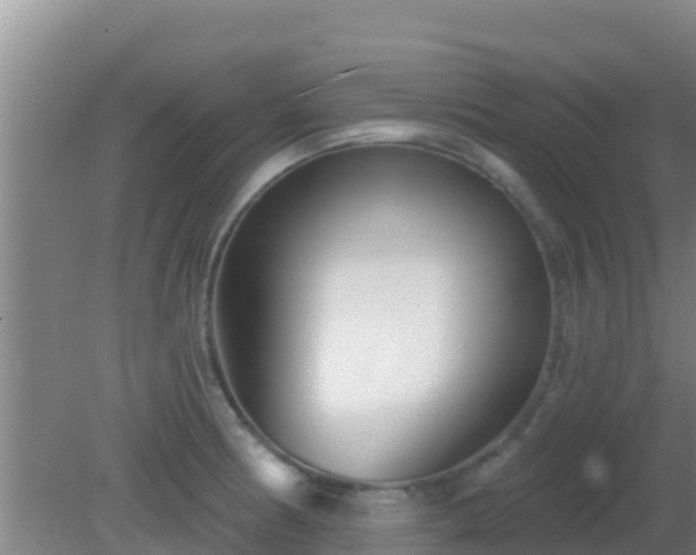 X0000081621186200701221220
