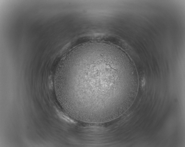 X0000081621204200701221219