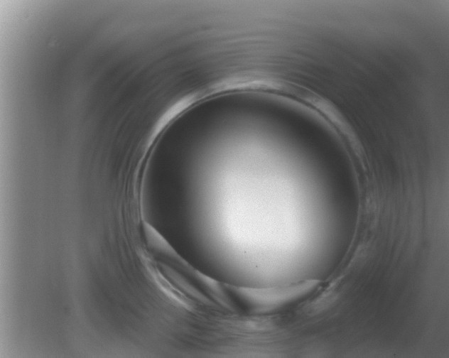X0000081621242200701221220