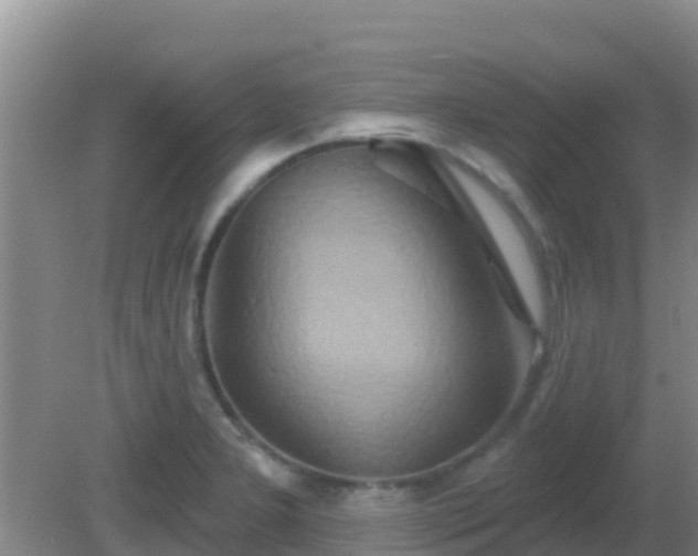 X0000081621277200701221218