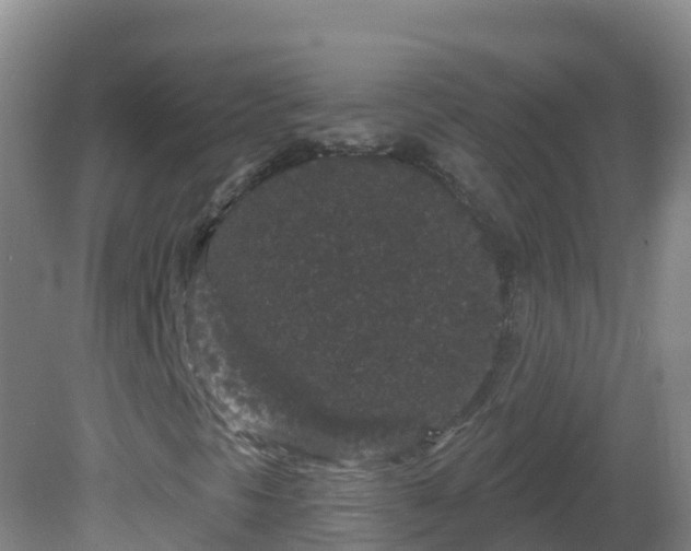 X0000081621297200701221217