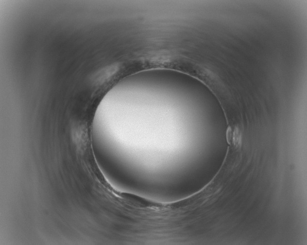 X0000081621299200701221217
