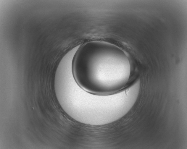 X0000081621300200701221217
