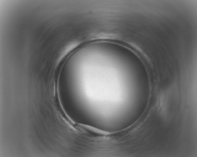 X0000081621317200701221218