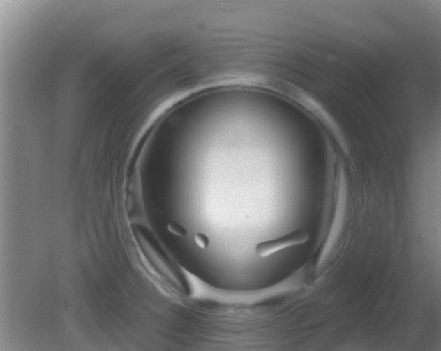 X0000081621332200701221218