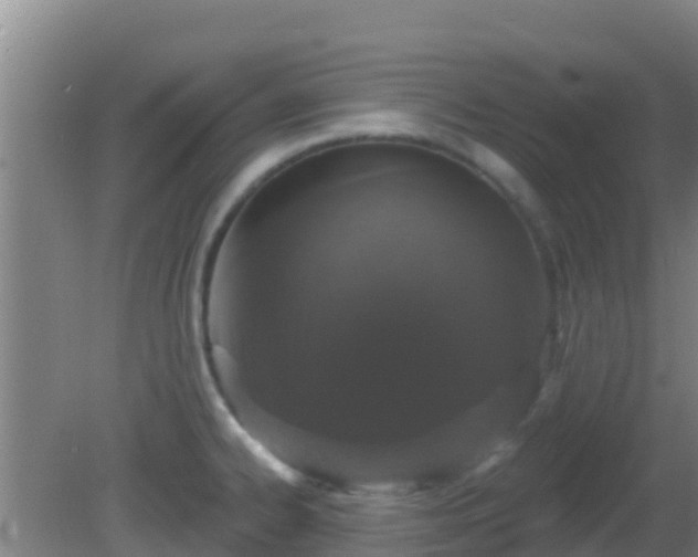 X0000081621334200701221218