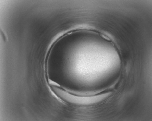 X0000081621335200701221218