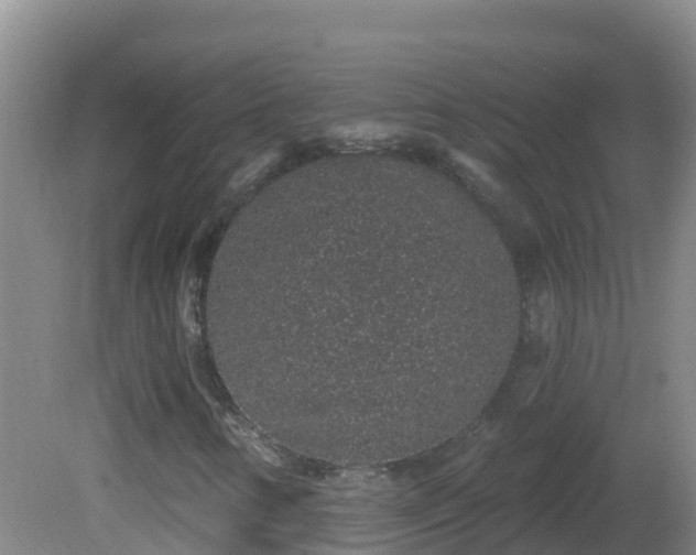 X0000081621346200701221217