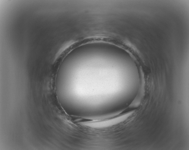 X0000081621352200701221217