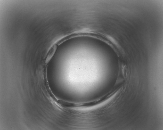 X0000081621356200701221217