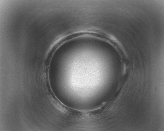 X0000081621360200701221217