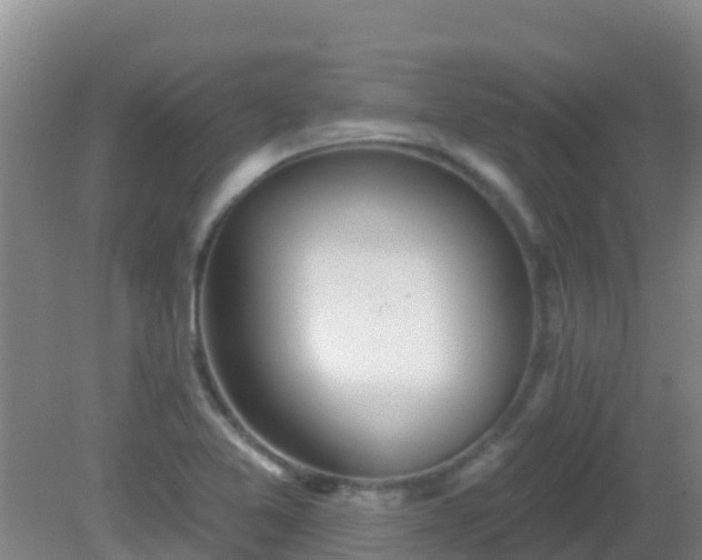 X0000081621365200701221217