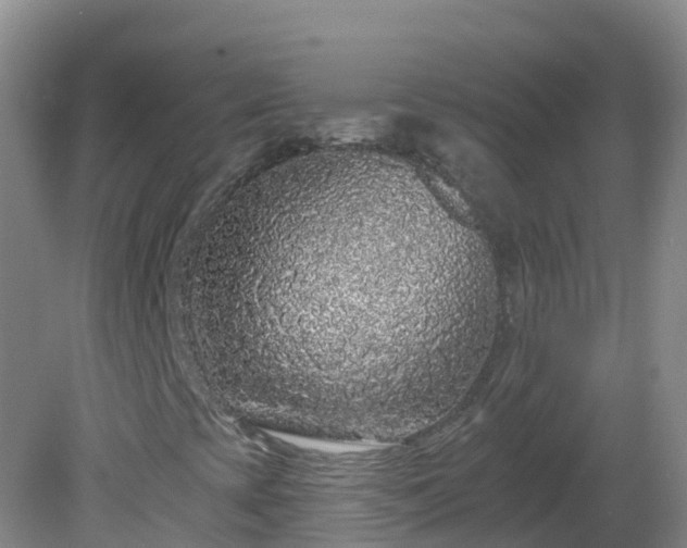 X0000081621393200701221216