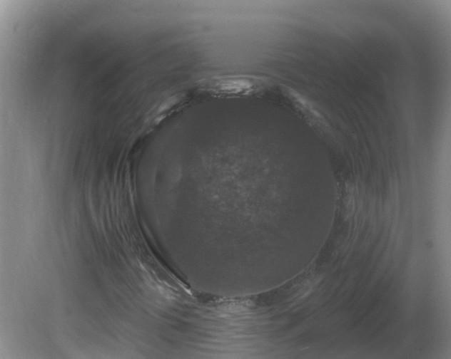 X0000081621394200701221216
